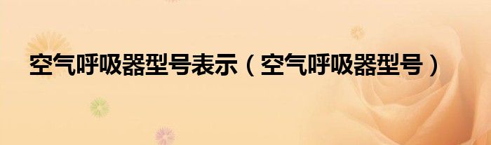 空气呼吸器型号表示（空气呼吸器型号）