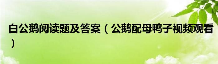 白公鹅阅读题及答案（公鹅配母鸭子视频观看）