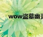 wow盗墓幽灵废墟的宝藏（wow盗墓）