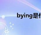 bying是什么意思（bying官网）