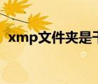 xmp文件夹是干嘛用的（xmp是什么文件）