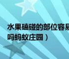 水果磕碰的部位容易变黑蚂蚁庄园（虾头变黑是重金属超标吗蚂蚁庄园）