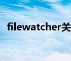 filewatcher关闭实时监控（filewatcher）