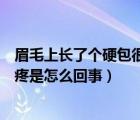 眉毛上长了个硬包很疼是怎么回事儿（眉毛上长了个硬包很疼是怎么回事）