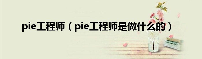 pie工程师（pie工程师是做什么的）