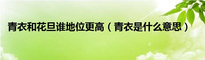 青衣和花旦谁地位更高（青衣是什么意思）