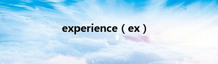 experience（ex）