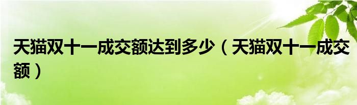 天猫双十一成交额达到多少（天猫双十一成交额）