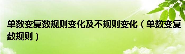 单数变复数规则变化及不规则变化（单数变复数规则）