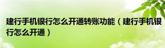 建行手机银行怎么开通转账功能（建行手机银行怎么开通）