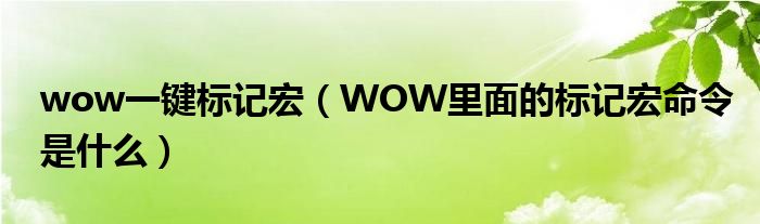 wow一键标记宏（WOW里面的标记宏命令是什么）