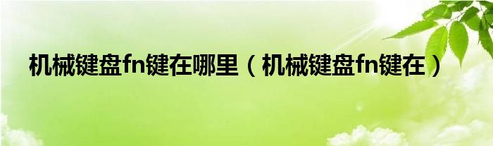 机械键盘fn键在哪里（机械键盘fn键在）