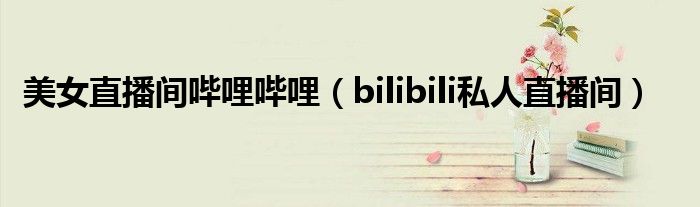 美女直播间哔哩哔哩（bilibili私人直播间）