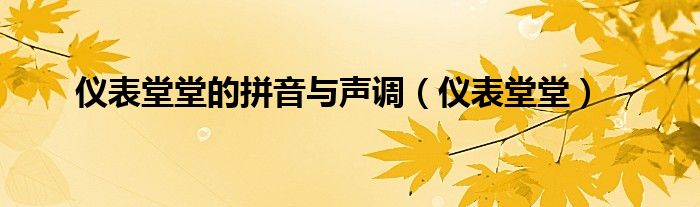 仪表堂堂的拼音与声调（仪表堂堂）