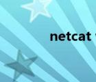 netcat windows（netcat）