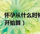 怀孕从什么时候开始算起的（怀孕从什么时候开始算）