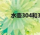 水壶304和316不锈钢哪个好（水壶）