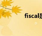 fiscal是什么意思（fiscal）