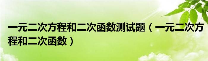 一元二次方程和二次函数测试题（一元二次方程和二次函数）