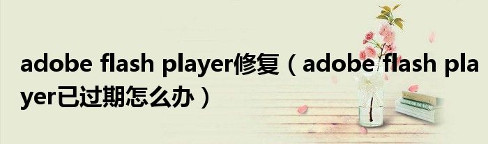 adobe flash player修复（adobe flash player已过期怎么办）