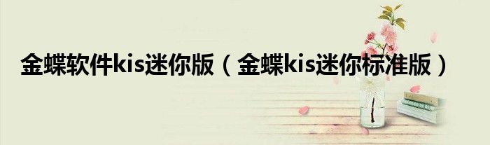 金蝶软件kis迷你版（金蝶kis迷你标准版）