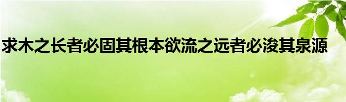 求木之长者必固其根本欲流之远者必浚其泉源