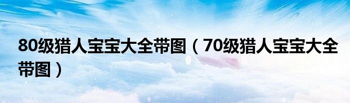 80级猎人宝宝大全带图（70级猎人宝宝大全带图）