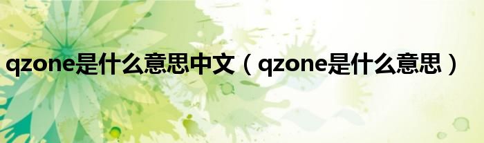 qzone是什么意思中文（qzone是什么意思）