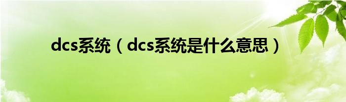 dcs系统（dcs系统是什么意思）