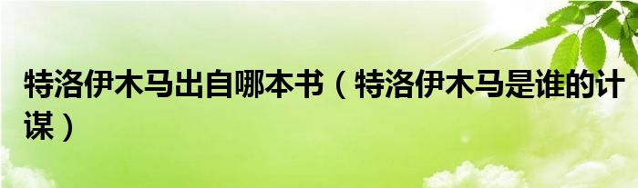 特洛伊木马出自哪本书（特洛伊木马是谁的计谋）