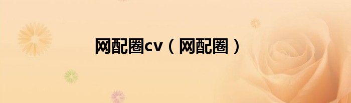 网配圈cv（网配圈）