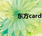 东方cardtd阵容（东方cardtd）