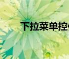 下拉菜单控件 英文（下拉菜单英文）