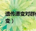 遗传漂变对群体遗传平衡有何影响?（遗传漂变）