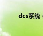 dcs系统（dcs系统是什么意思）