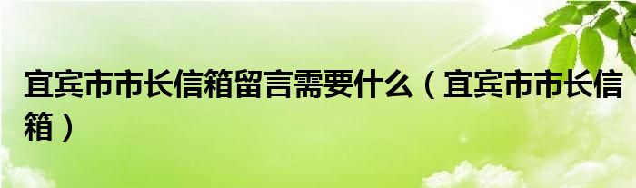 宜宾市市长信箱留言需要什么（宜宾市市长信箱）