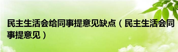 民主生活会给同事提意见缺点（民主生活会同事提意见）