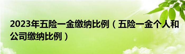 2023年五险一金缴纳比例（五险一金个人和公司缴纳比例）