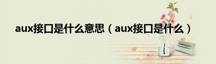 aux接口是什么意思（aux接口是什么）