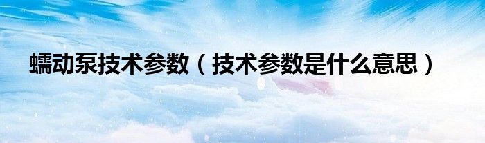 蠕动泵技术参数（技术参数是什么意思）