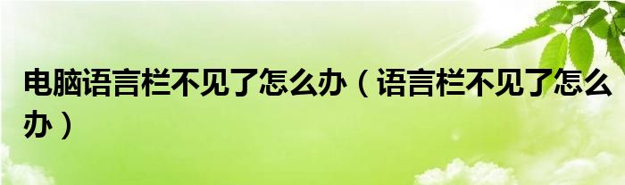 电脑语言栏不见了怎么办（语言栏不见了怎么办）