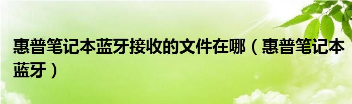 惠普笔记本蓝牙接收的文件在哪（惠普笔记本蓝牙）