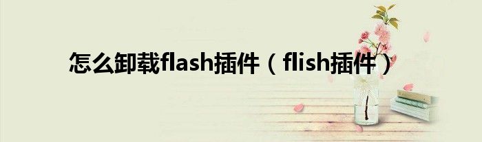 怎么卸载flash插件（flish插件）