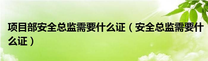 项目部安全总监需要什么证（安全总监需要什么证）