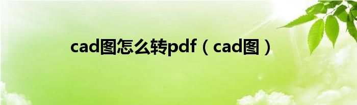 cad图怎么转pdf（cad图）