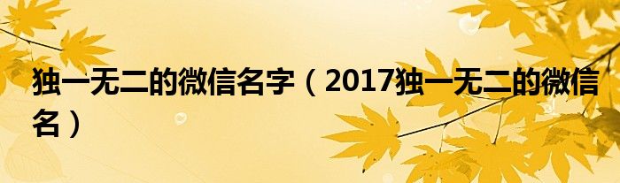 独一无二的微信名字（2017独一无二的微信名）