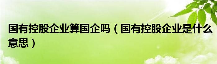 国有控股企业算国企吗（国有控股企业是什么意思）