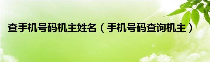 查手机号码机主姓名（手机号码查询机主）