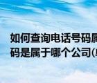 如何查询电话号码属于哪个公司（如何在网上查一个电话号码是属于哪个公司(单位)的）