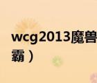 wcg2013魔兽争霸半决赛（wcg2013魔兽争霸）